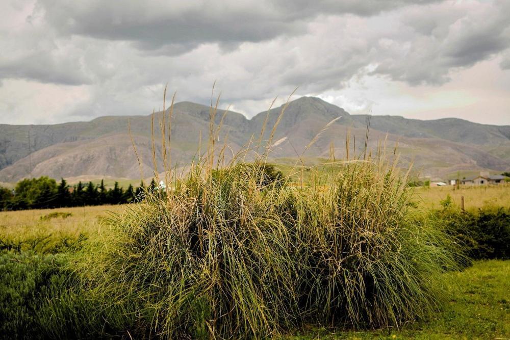 Vila Cabanas De Las Pinturas Sierra de la Ventana Exteriér fotografie